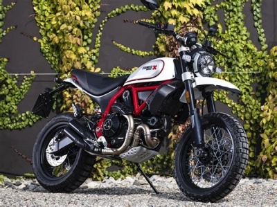 De onderdelen catalogus van de Ducati Scrambler (DESERT SLED USA) 2019, 803cc